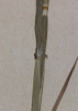 Hordeum vulgare